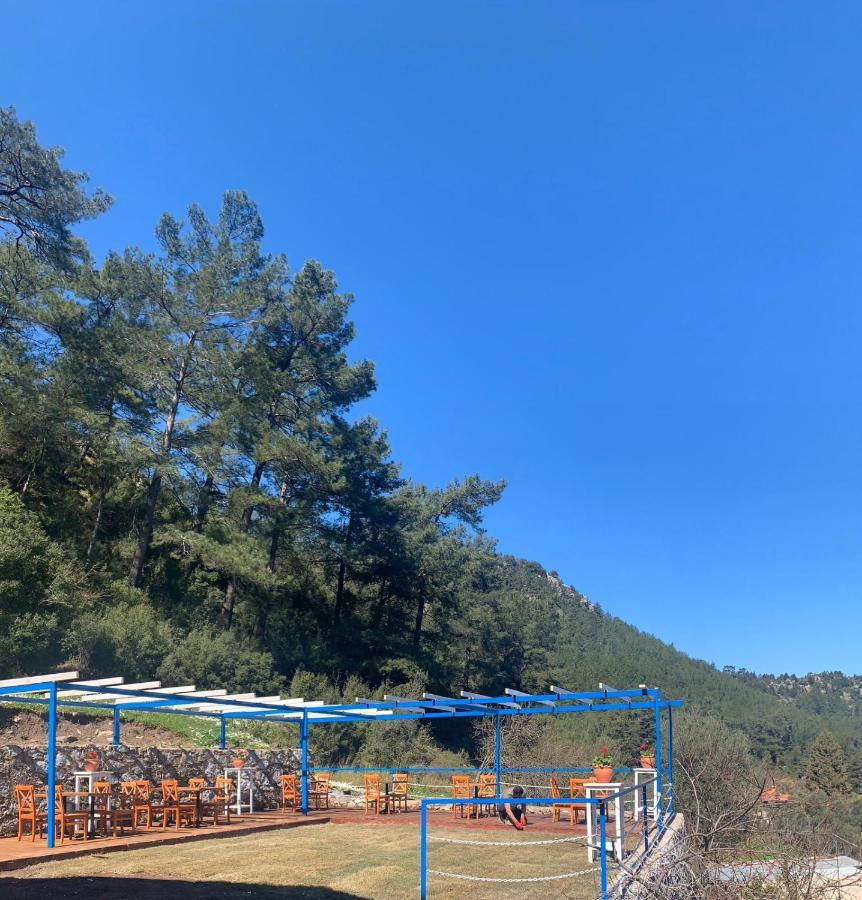 Alp Inn Villas Turunç Buitenkant foto
