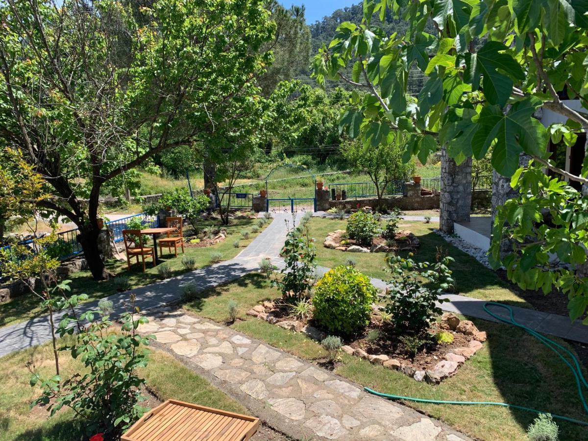 Alp Inn Villas Turunç Buitenkant foto