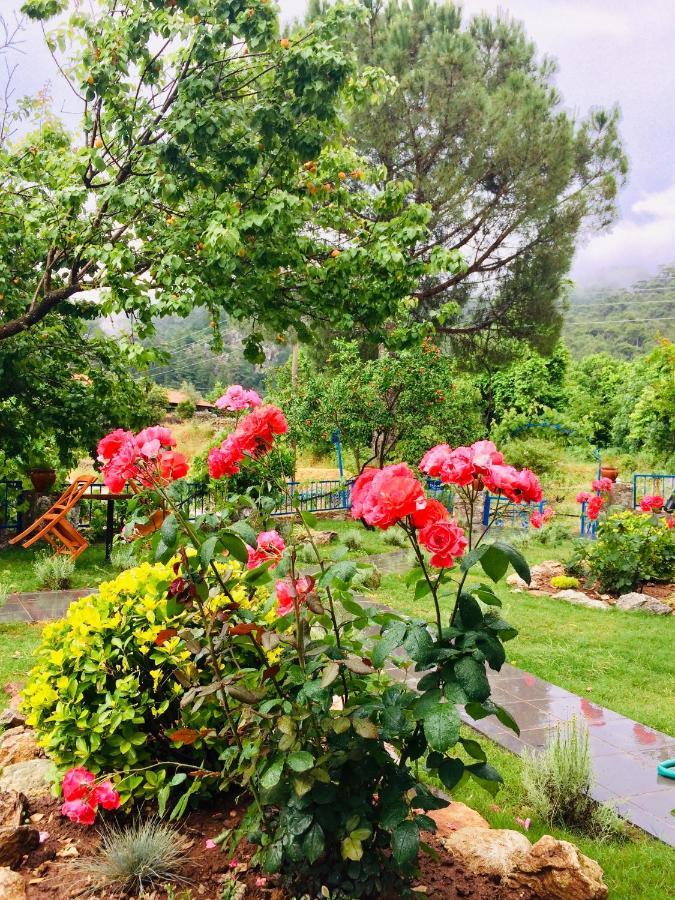 Alp Inn Villas Turunç Buitenkant foto